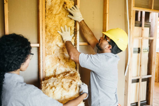 Professional Insulation Contractor in Vilonia, AR